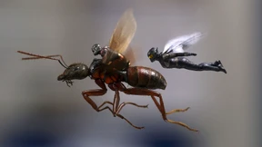 Wir brauchen mehr Heldinnen!