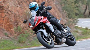 Everybody’s Miezekatze