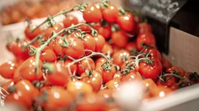 Kubanische Tomatensuppe mit Kartoffeln