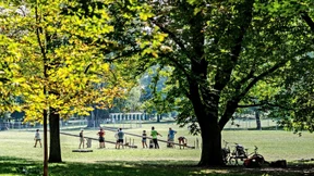Diskurs auch um Bauzäune