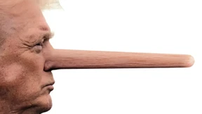 Fünf Lügen für den Fall, dass Donald Trump die Wahl verliert