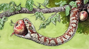 Die Amtsverantwortung der Hierarchen