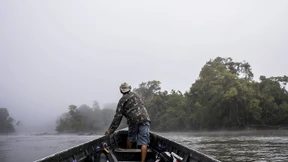 Deutschlands Platz im Regenwald