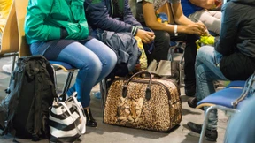 Bundesamt klagt über hohe Zahl aussichtsloser Asylanträge