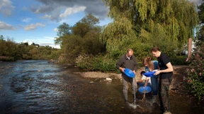 Zur Goldsuche ins Edertal