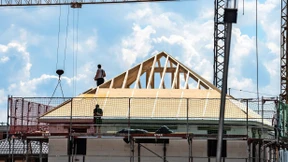 132.000 Menschen fordern Exportverbot für Holz