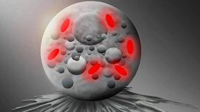 Forscher benennen neue Bakterien-Gattung nach „Pokémon“-Spiel