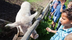 Kinderhotel und solidarische Landwirtschaft