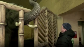 Unbekannte Helfer bringen Zootiere nach Polen