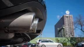 BVB, Bayern, „Bild“-Zeitung