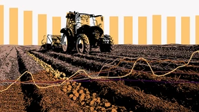 Das Comeback der Kartoffel