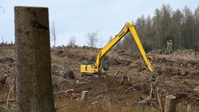 Corona-Krise behindert Kampf gegen Schädlinge