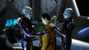 Große Gefahr, übertriebene Angst – was denn nun?