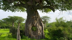 Mitten in Afrika Jenseits von Afrika spielen