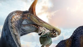 Streit um den Herrscher der Flusslandschaften