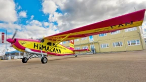 Die Letzte ihrer Art