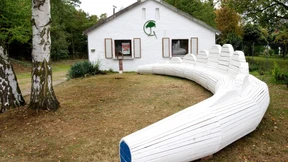 Exportschlager aus dem Bessunger Forst