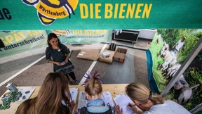 Wenn Bienenschützer keine Kompromisse machen