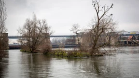 Seichtes Wasser für die Mainfische