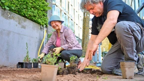 Nektar-Bar für die Punks unter den Insekten