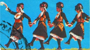 Gut genährt dank Rousfetia