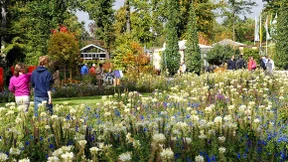 Lade-Stopp im Grünen