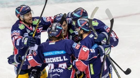 Eisbären sind Meister