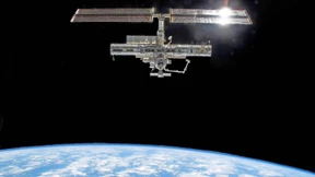 Winterschlaf als Schutz vor kosmischer Strahlung