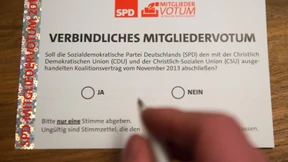 „SPD-Mitgliedervotum verfassungsrechtlich bedenklich“