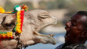 Wie gut kennen Sie die Welt?