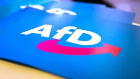 AfD scheitert mit Klage