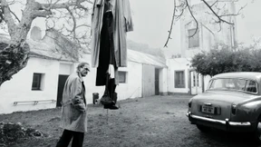 Der tote Ast spricht