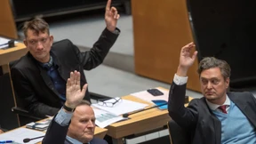 Außenministerium wirft AfD „Fake News“ vor