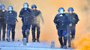 Der Schweinestaat und andere Tierwelten