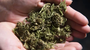 Deutsche Cannabis plant eigene Kryptowährung