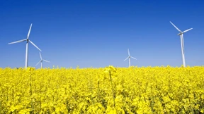 Für die lange Frist