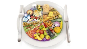 Ein Planet und zehn Milliarden Esser