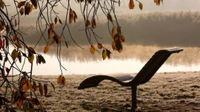 Ja, ist denn schon Frühjahr? 