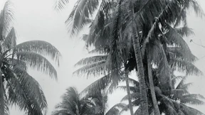 Geht heute gar nicht mehr!