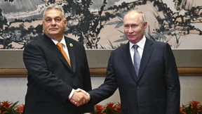 Putins Statthalter in der EU