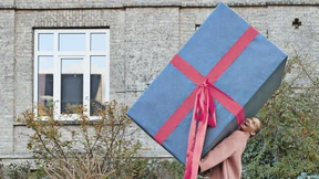 Das (fast) perfekte Weihnachtsgeschenk