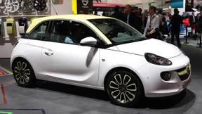 Adam zieht die Frauen an 