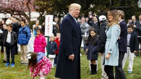 Trump drängt zu schärferem Einwanderungsgesetz