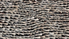 In die Haifischflossensuppe gespuckt