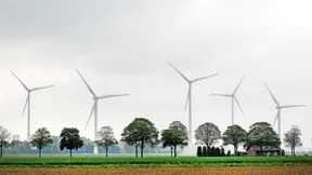 Grüner Bruderkampf um die Energiewende