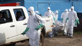 Ein Stoff für Horrorfilme