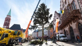 Der viel zu schöne Manni