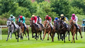 Vier Eisen im Feuer von Henk Grewe