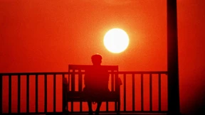 Manche Romane wirken wie Medizin: Alice Walker über den Klassiker „Die Farbe Lila“