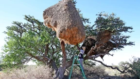 Wie gelingt Arbeit auf Augenhöhe?